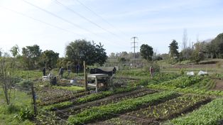 Rosario cultiva agroecología: la Semana de la Agricultura Urbana