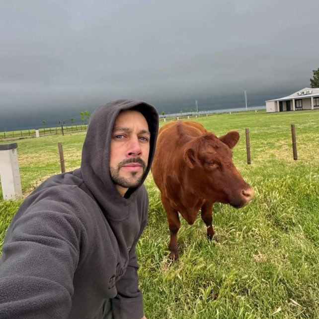 El productor aún reclama el pago de una gran factura tras haber hallado las vacas.