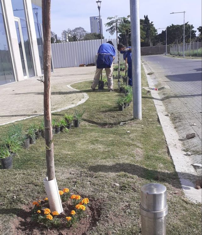 Inauguran con plantines y caminata la calle en homenaje a Antonella Trivisonno