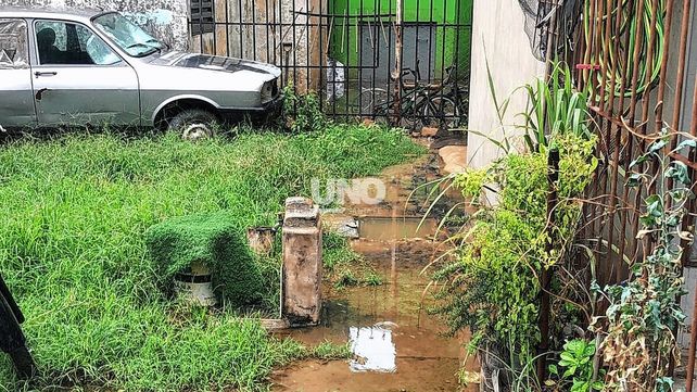 Repugnante. Es la situación que atraviesan hace ya 10 días los habitantes del Fonavi Don Bosco de barrio San José con las cloacas rebalsadas.&nbsp;