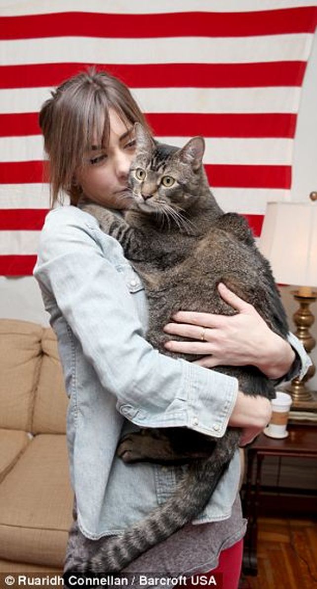 Conocé al gatosaurio