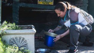 Este lunes se concretaron en Paraná nuevos bloqueos por dos casos importados de dengue y realizaron fumigación