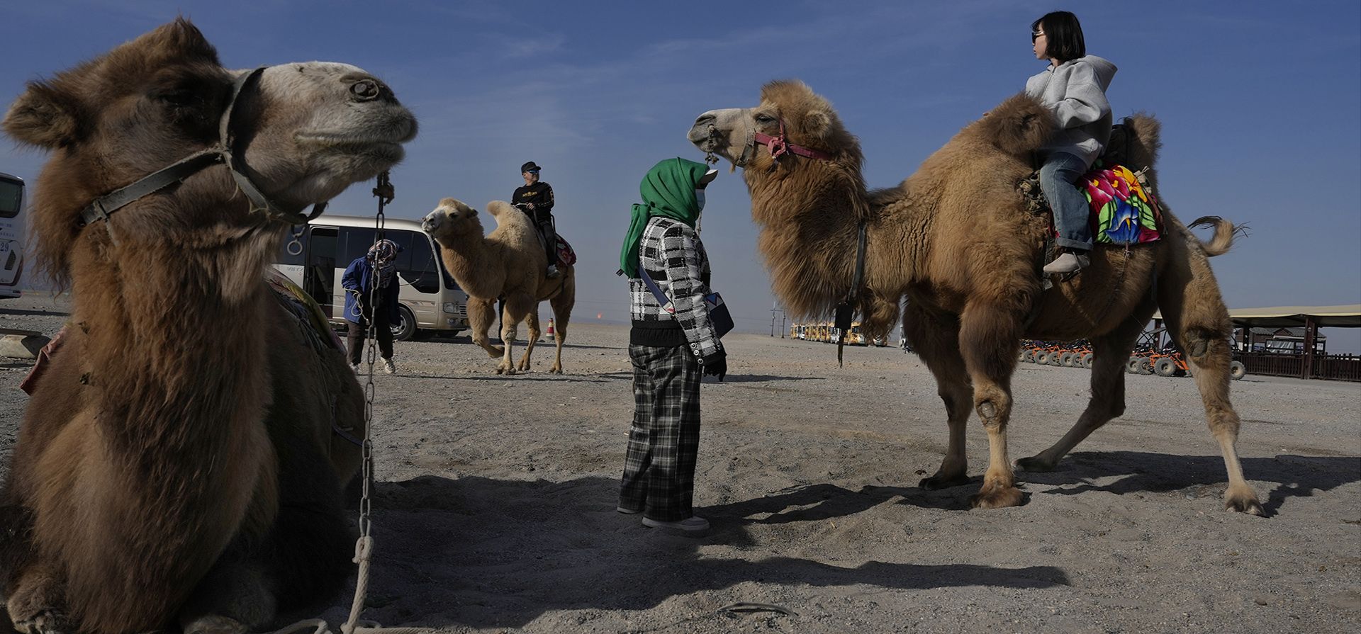 Los turistas montan camellos en el Paso Jiayu, un punto estratégico de la Gran Muralla China a lo largo de la antigua Los turistas montan camellos en el Paso Jiayu, un punto estratégico de la Gran Muralla China a lo largo de la antigua