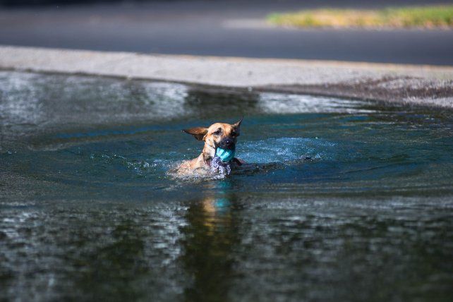 El tiempo en Rosario: un viernes con mucho sol y los termómetros en alza