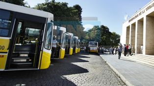 El transporte urbano incorporó unidades 0 km