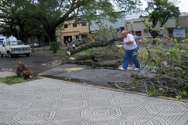 Llegó la lluvia y provocó destrozos: sigue el alerta por tormentas fuertes