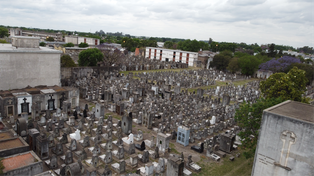 Aseguran que el predio del cementerio La Piedad está abandonado.