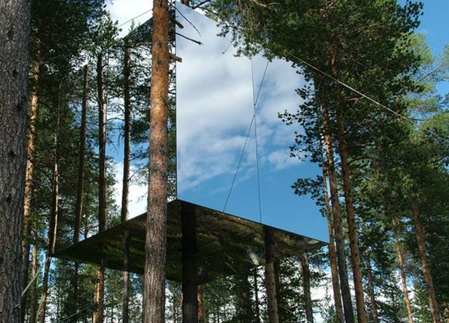 Tree houses: aventura para toda la familia