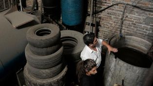 Rosario: se duplican los casos de dengue autóctono y descubren su origen