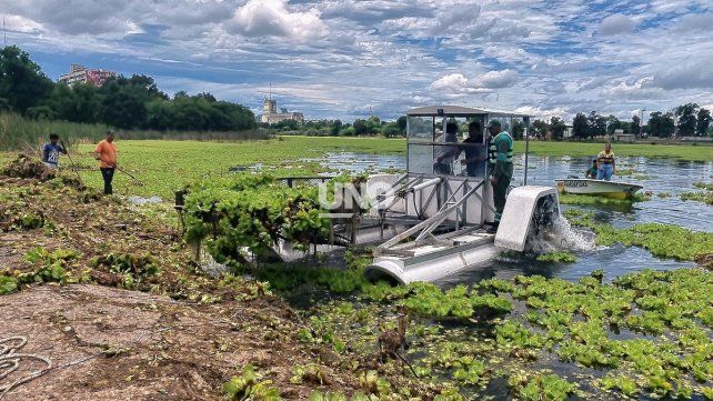 Comenzó a trabajar la cosechadora acuática en el lago del Parque Sur para retirar los repollitos de agua.