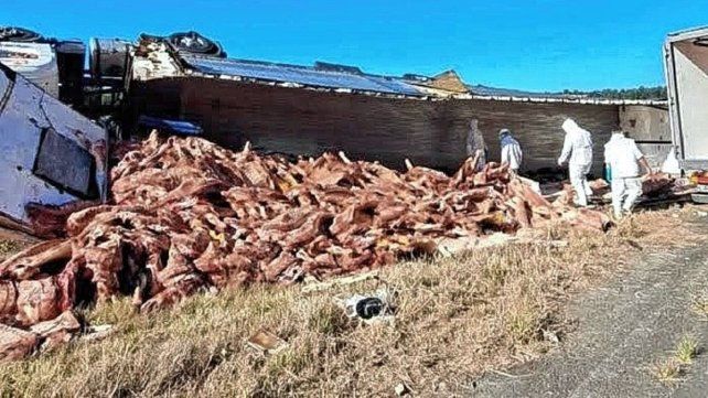 El camión frigorífico volcó a la altura de Concordia.
