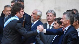 Los gatitos mimosos: Macri y Milei