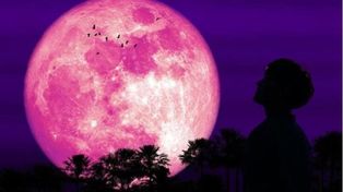 La luna se tiñe de rosa: dónde y cómo ver la luna llena en Rosario