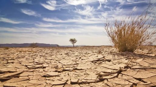Erosión: más de un tercio del suelo está en peligro