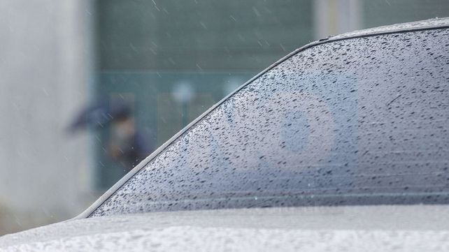 Lluvias y tormentas: anegamiento y caída de árboles en Paraná