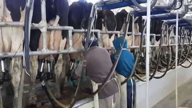 Los huérfanos de Cotagú y de Cotapa llorando sobre la leche derramada