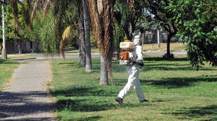 Trabajos de fumigación