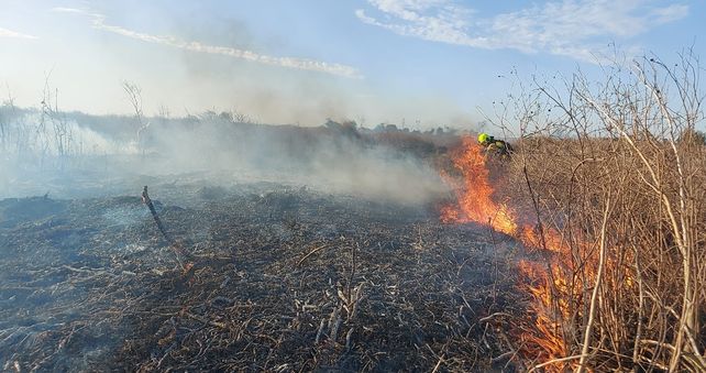 Incendios: el Delta en llamas y el humo afecta la región