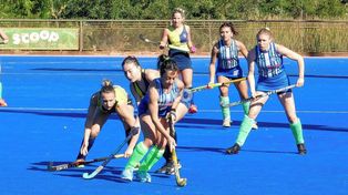 Banco Provincial y El Quillá jugarán el Torneo Oficial organizado por la ASH.