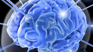 Científicos argentinos lograron desentrañar los mecanismos cerebrales del olvido