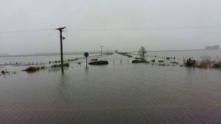 Declararon la emergencia agropecuaria en Buenos Aires, Chaco y La Pampa