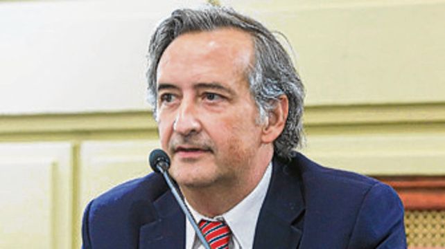 El diputado nacional Nicol&aacute;s Mayoraz, de La libertad avanza.