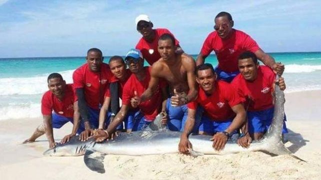 Un tiburón agonizó hasta la muerte mientras unos socorristas posan con él para una foto