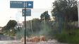 el pozo que se trago una camioneta volvio a ser un peligro por importante perdida de agua
