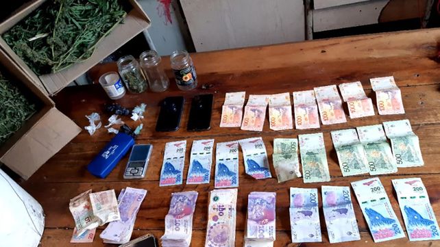 Paraná: encontraron plantas de marihuana de cuatro metros&nbsp;