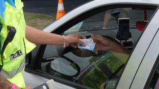 Un camionero circulaba por la ruta con una licencia de conducir trucha