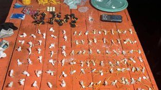 Concordia: secuestraron casi un kilo de cocaína y detuvieron a tres hombres