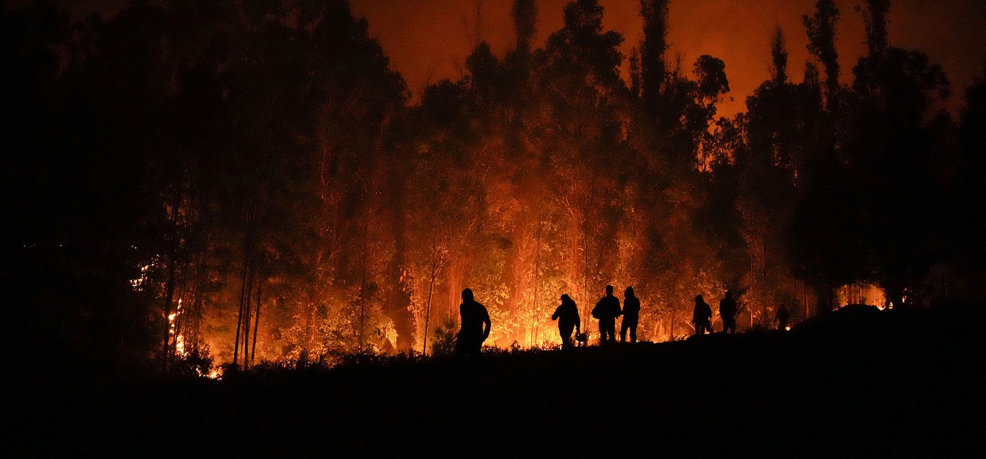 Voluntarios llevan suministros para los bomberos cerca de árboles en llamas en Puren, Chile, mientras los incendios forestales se propagan en el sur y el centro de Chile, provocando evacuaciones y la declaración de estado de emergencia en algunas regiones. (Foto AP/Matías Delacroix)