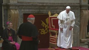 El Papa tropezó en los escalones y casi se cae al piso en plena audiencia
