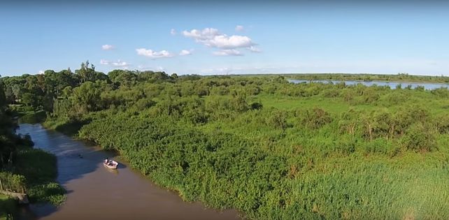 Por la bajante, la Cortada de Sauce Viejo se quedó casi sin agua