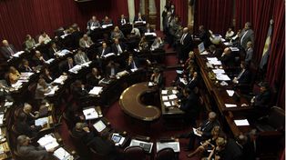 La ley de muerte digna comenzó a debatirse en el Senado