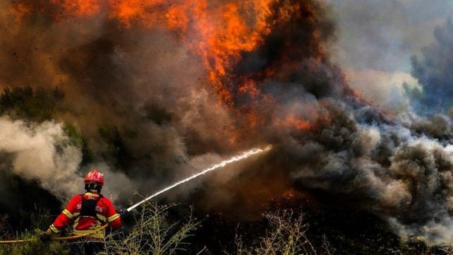 Europa. El Viejo Continente sufre un récord de incendios en los últimos 16 años