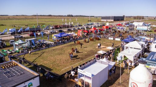 Angus realiza su tradicional expo de primavera con predio renovado