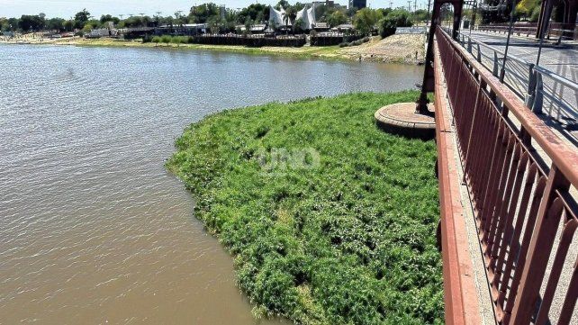 Imagen del embalsado formado sobre el pilote este del Puente Colgante.