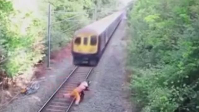 Rescate heroico : lo salvaron de milagro de ser arrollado por el tren