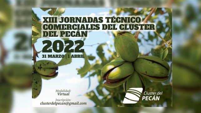 Nuez pecán: la producción que pisa fuerte en Entre Ríos