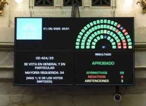 La oposición en el Senado sancionó la Ley de Financiamiento Universitario y la emergencia para el Garrahan