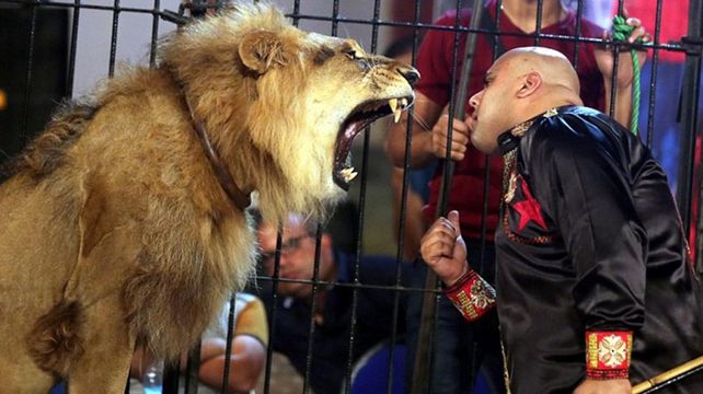 El tremendo video de un domador que murió tras ser atacado por un león en pleno show