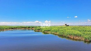 El municipio acompaña a los autoconvocados náuticos en sus trabajos por lograr generar un canal de acceso entre el gran embalsado que divide la laguna Setúbal.&nbsp;