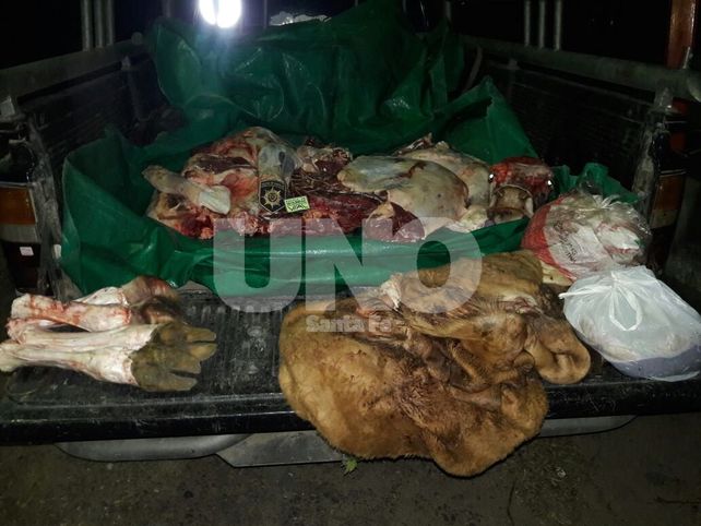 El Rabón: cayeron presos después robar y faenar clandestinamente un novillo