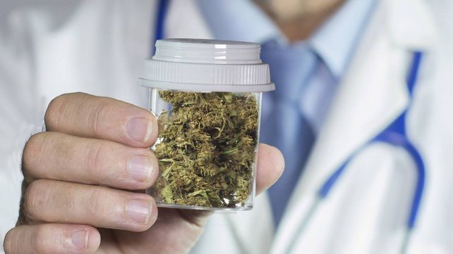 El uso medicinal del cannabis, bajo la lupa de la provincia y el INTA.