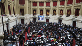 La Cámara de Diputados de la Nación.
