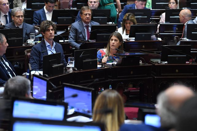 Los bloques del PRO y la UCR cambiaron de posición luego del pedido de detención y desafuero que ordenó la jueza Arroyo Salgado sobre Edgardo Kueider.