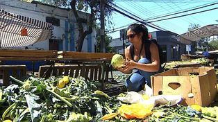 Argentina desperdicia un promedio de 38 kilos de alimentos por habitante