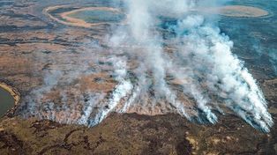Los incendios en los humedales son responsabilidad de las provincias