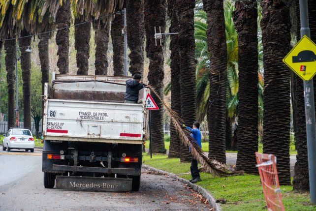 La Municipalidad de Rosario inició un operativo de limpieza el sábado primero de agosto de 2026 por la tormenta de la noche anterior, que provocó la caída de ramas de árboles y chapas.